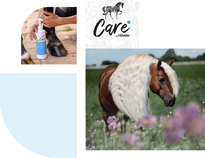 hoeveler care pferdepflege NEU